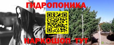 МДПВ Шахты