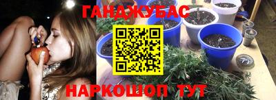 ECSTASY Шелехов
