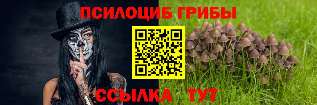 Псилоцибиновые грибы ЛСД Лыткарино